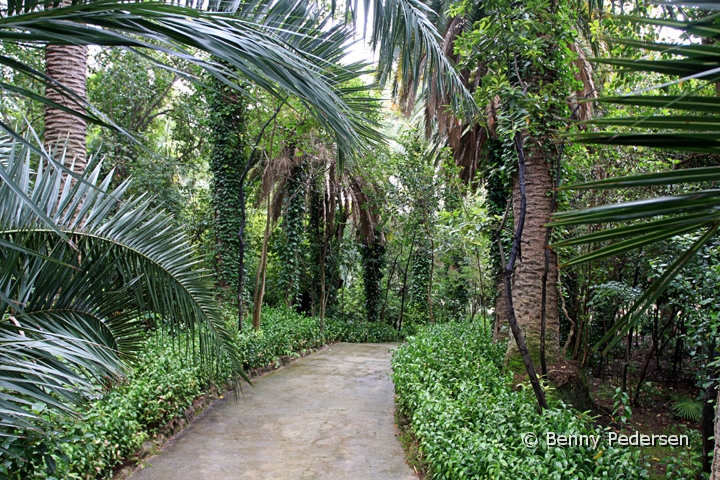 Jardins d'Alfabia have.jpg - JARDINS d'ALFÀBIAS HAVE En arabisk oase lavet for over 1000 år siden et besøg der er en oplevelse.